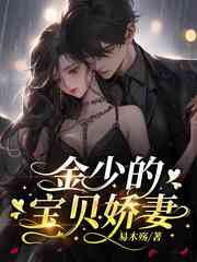金少的宝贝娇妻