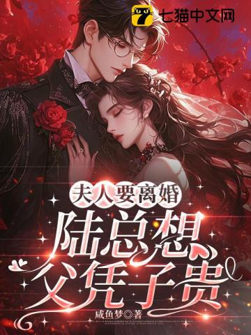 夫人要离婚，陆总想父凭子贵